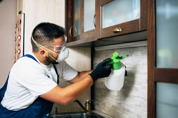 Pest Control for Restaurants in Windcrest, TX