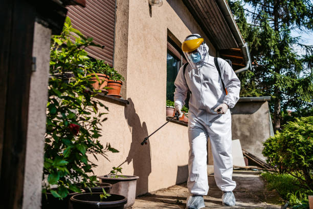 Best Bed Bug Extermination  in Windcrest, TX