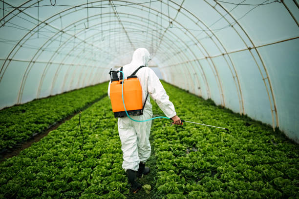 Best Best Pest Control Companies  in Windcrest, TX