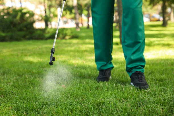 Best Best Pest Control Companies  in Windcrest, TX