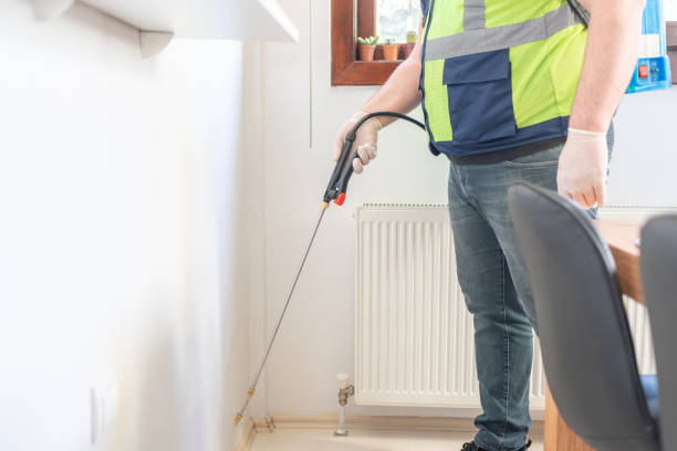 Best Exterminator Services  in Windcrest, TX