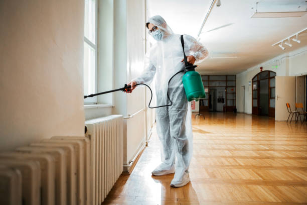 Best Best Pest Control Companies  in Windcrest, TX
